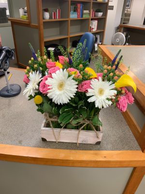 Library-Flowers-01 Library-Flowers-01